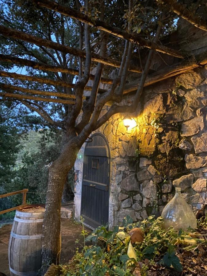 Ferienwohnung Su Lidone Ozieri Exterior foto